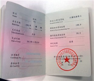 计算机维修工 软硬件与外围设备制造全解析